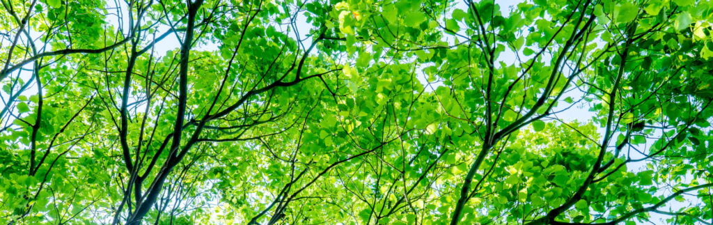 サービスページ画像